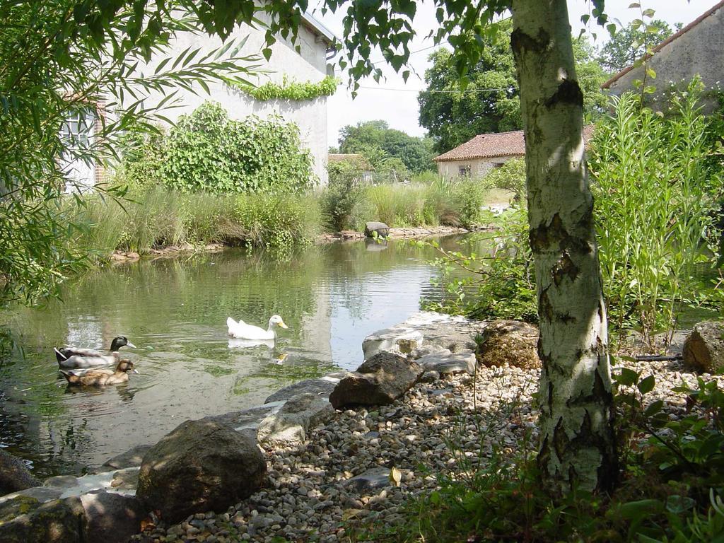 Chez Tartaud Lathus St Remy
